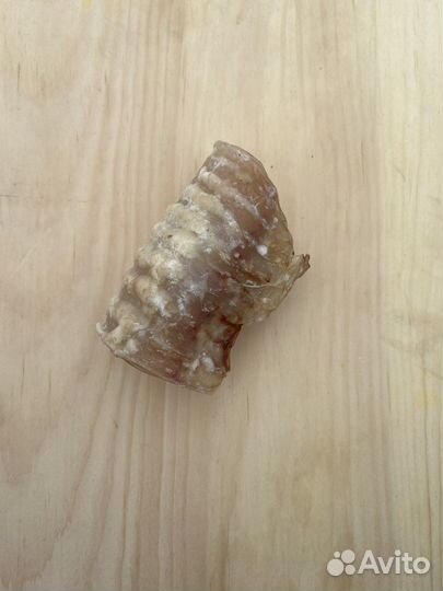 Сушеные лакомства для собак