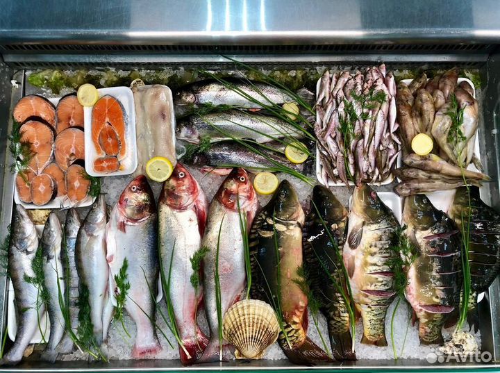 Франшиза: доход с первого дня