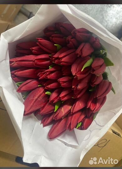 Букет из тюльпанов