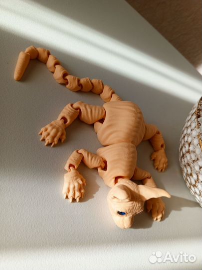 Кот сфинкс Зd