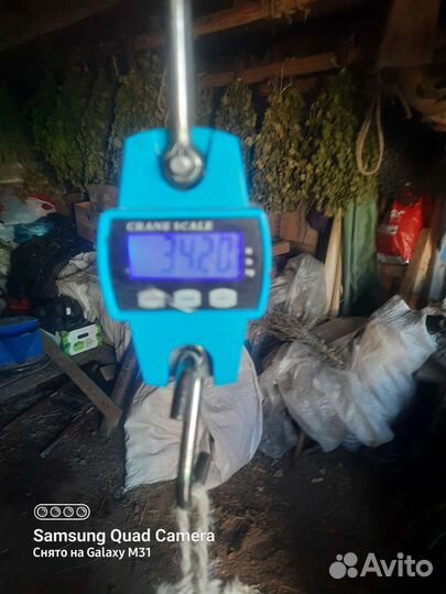 Весы электронные