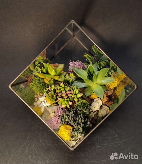 Флорариум с суккулентами