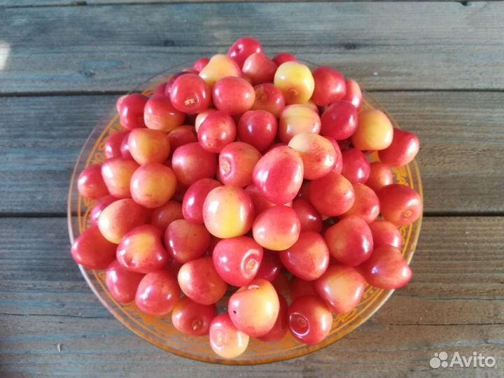 Черешня свежая