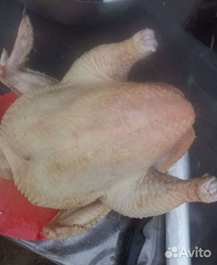 Мясо домашнего бройлера