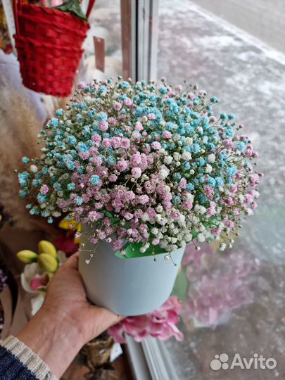 Цветы гипсофила букет