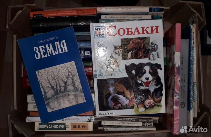 Книги