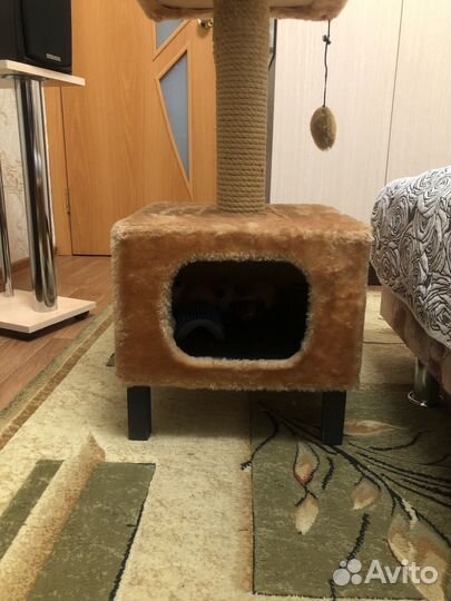 Домик для кошки с когтеточкой