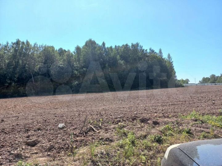 Участок 99,3 сот. (ИЖС)