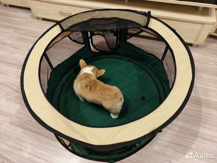 Вольер для щенков