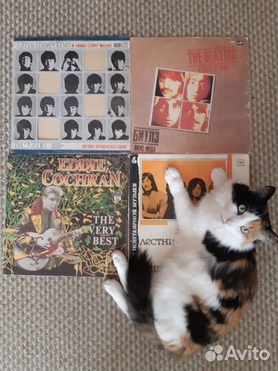 Пластинки Beatles, LED Zeppelin