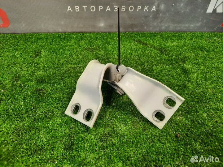 Петли крышки багажника Ford Focus 2 хэтчбек 1.6