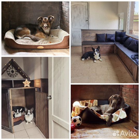 Зоогостиница, гостиница для собак, передержка