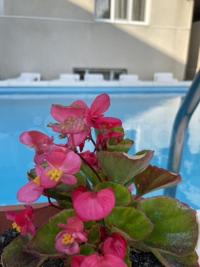 Комната 20 м², 1/2 эт.