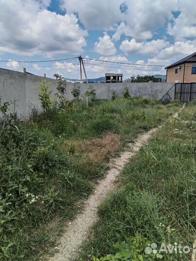 Покос травы триммером,спил деревьев,чистка участка