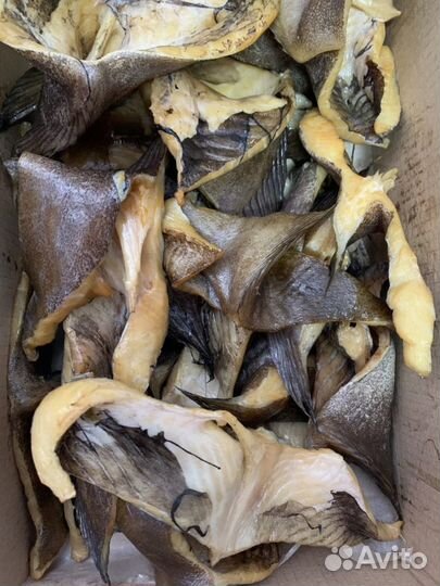 Палтус теша холодного копчения