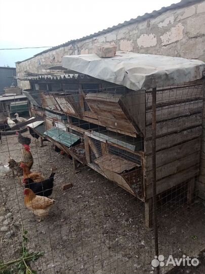 Продается клетка для кроликов