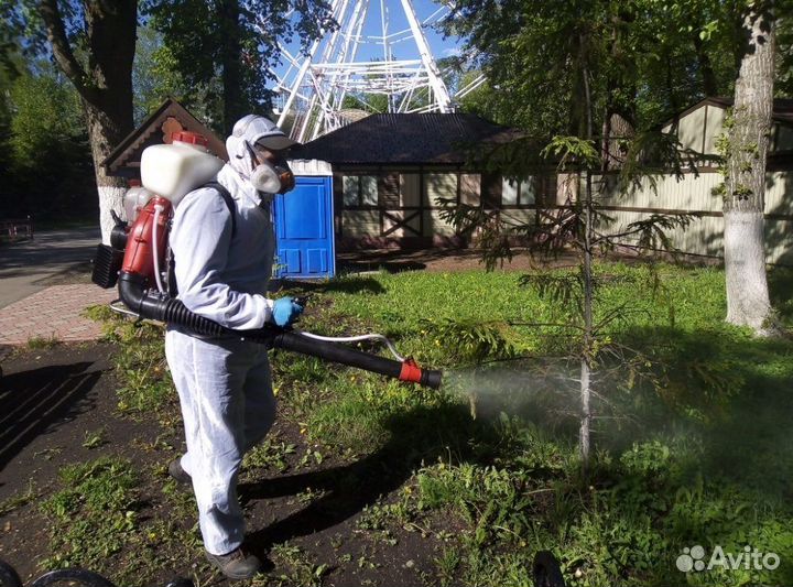 Уничтожение клещей комаров короеда ос борщевика