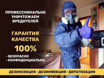 Дезинфекция