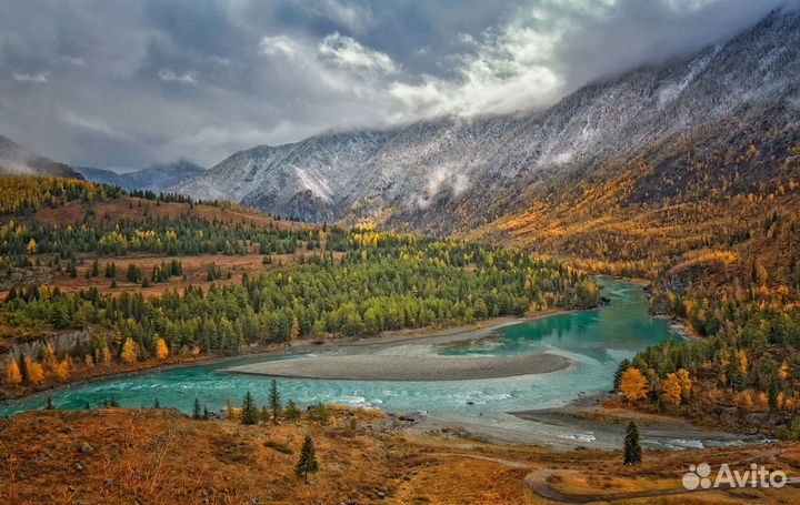 Моторафтинг на Катуни