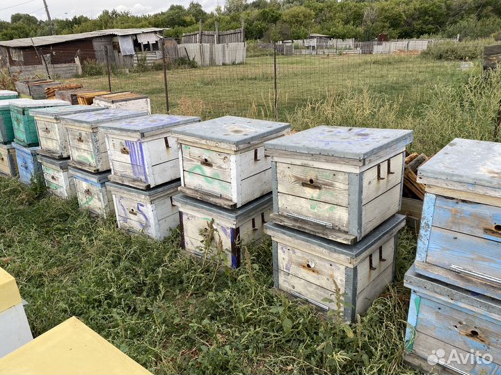 Ульи для пчел бу