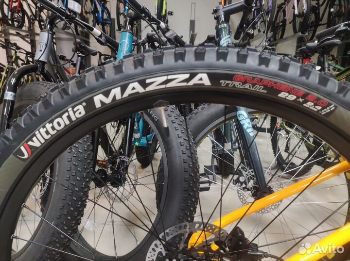 Велосипед Titan Racing Cerberus Dash (2024)