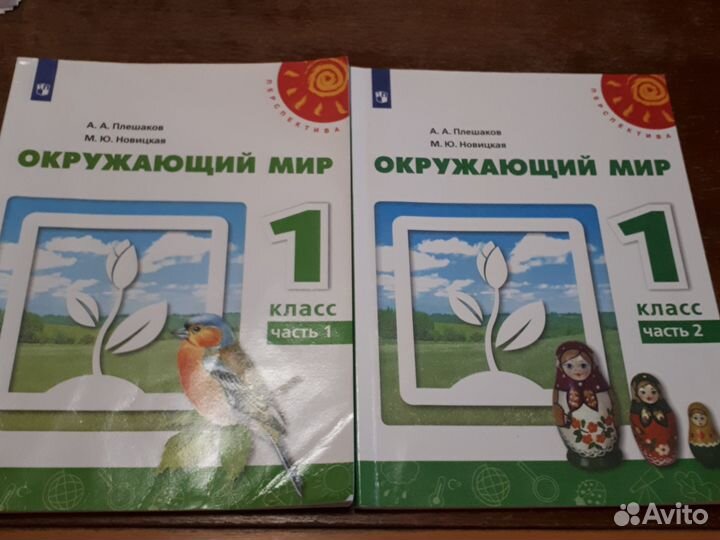 Окружающий мир Перспектива 1 класс