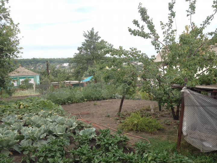 Дом 50 м² на участке 9 сот.