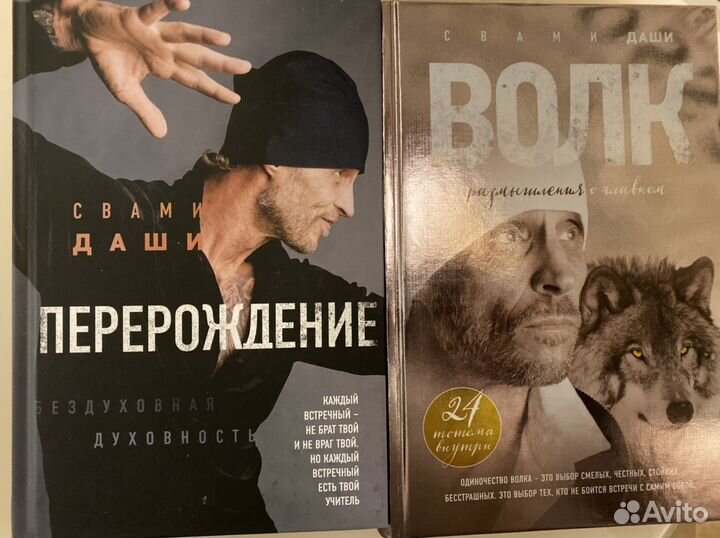 Книги Свами Даши Перерождение