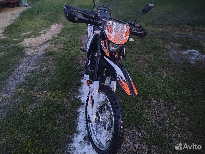 Рейсер Пантера 300