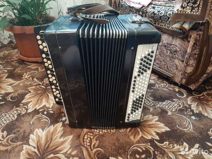 Баян тульский