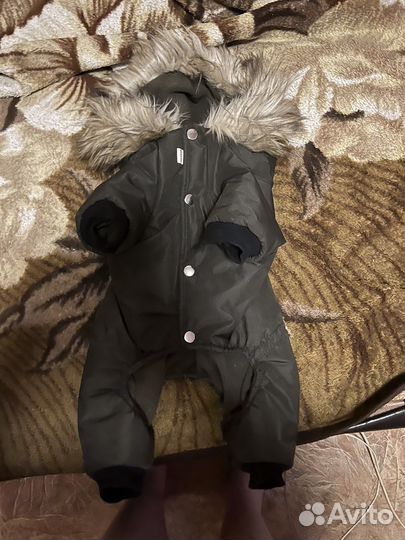 Зимний комбинезон для маленьких и средних собак