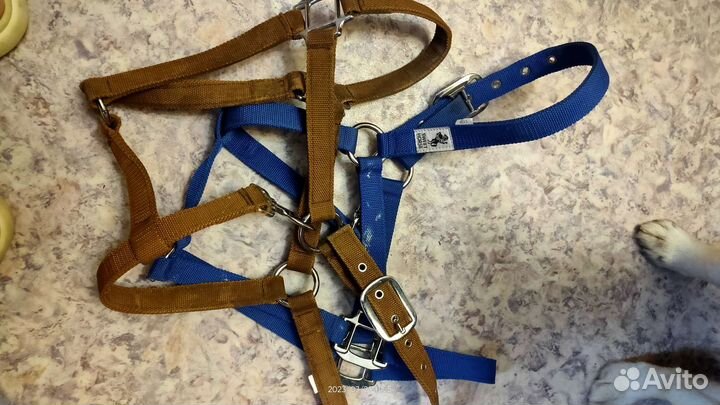 Недоуздок для лошади