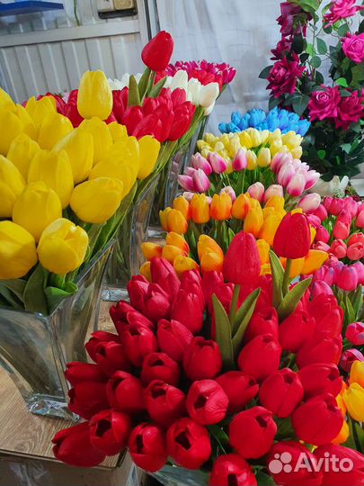 Тюльпаны
