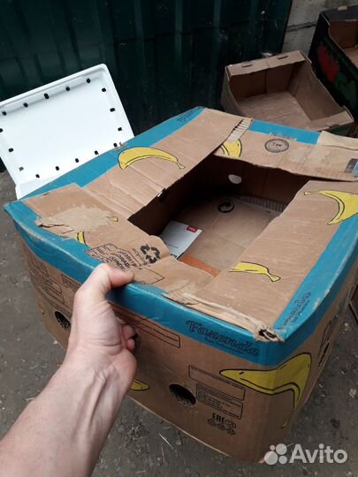 Евро тара,картонные коробки из под овощей