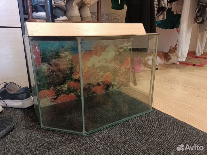 Аквариум 75 литров