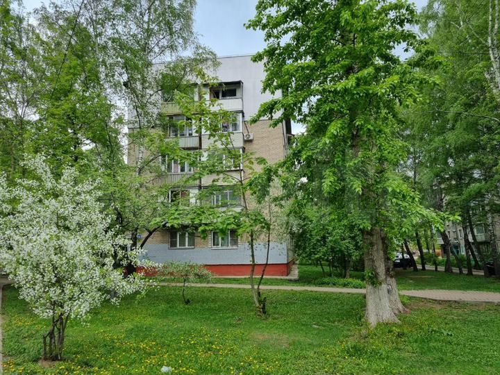 3-к. квартира, 49,2 м², 5/5 эт.