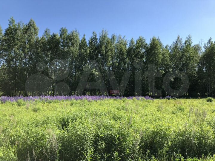 Участок 9,7 сот. (ИЖС)