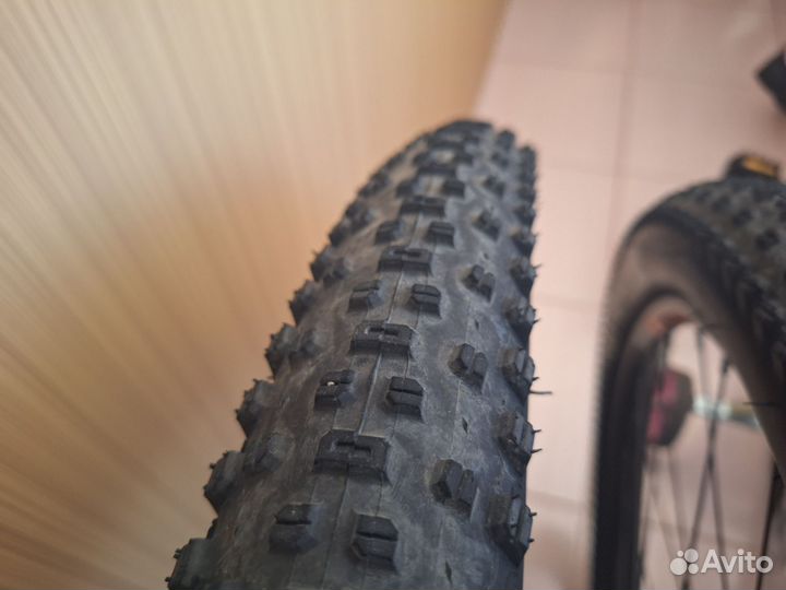 Вилсет 29 wtb sx19