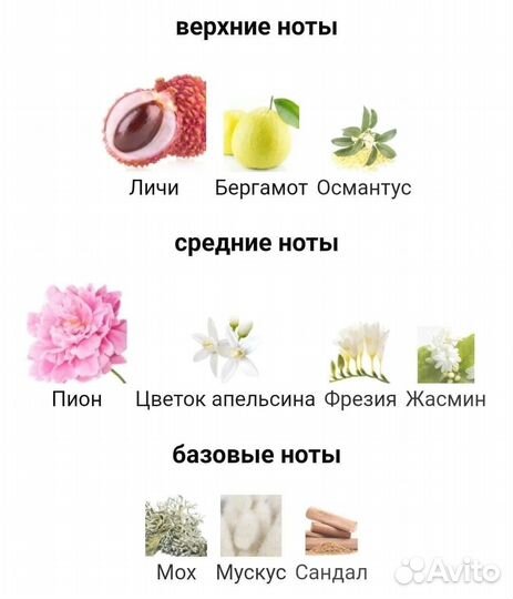 EX nihilo — fleur narcotique extrait DE parfum