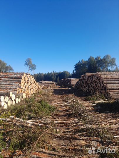 Водитель лесовоза Урал с манипулятором