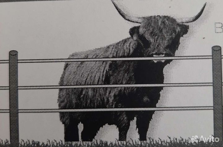 Электропастух для крупного рогатого скота