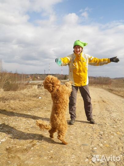 Передержка и уход за животными в Горячем Ключе