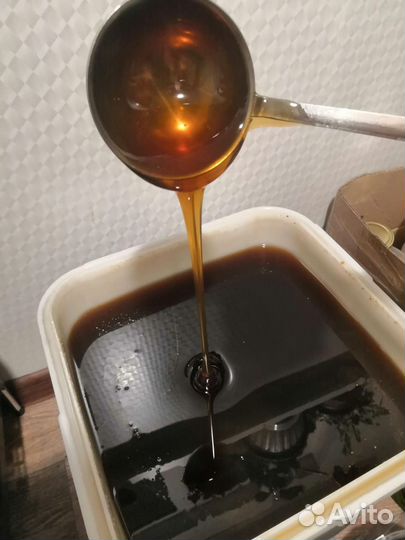 Гречишный Алтайский мёд 2023