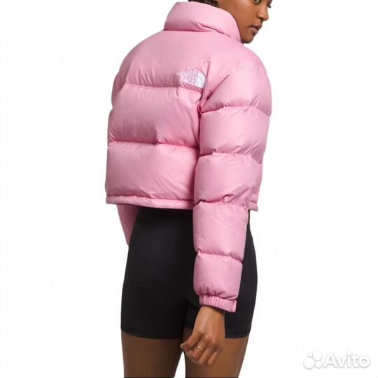 THE north face Jackets Women's Pink (XL)(98)