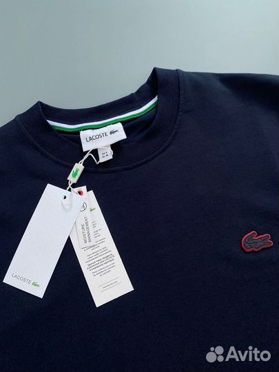 Свитшот мужской lacoste синий