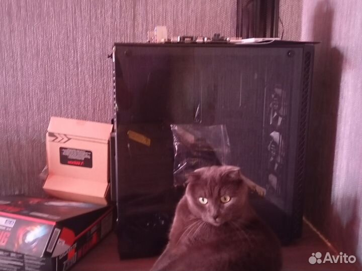 Лот на отправку