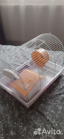 Клетка для джунгарского хомяка