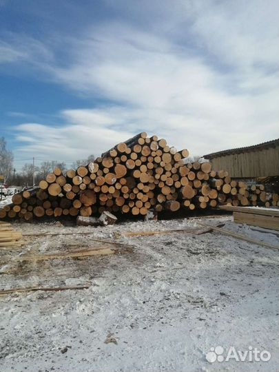 Грузчик, разнорабочий на пилораму