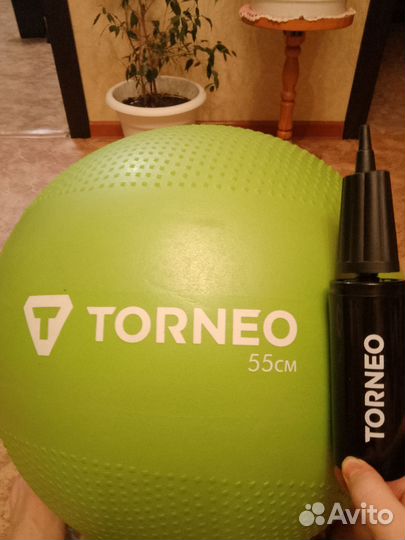 Мяч гимнастический 55см Torneo