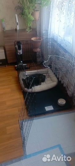 Вольер для собак в квартиру бу